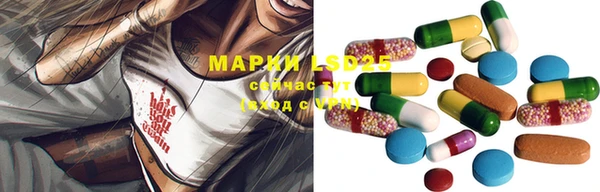 крисы Балахна