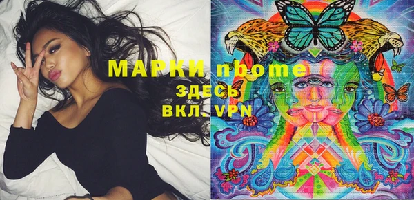 стафф Аркадак